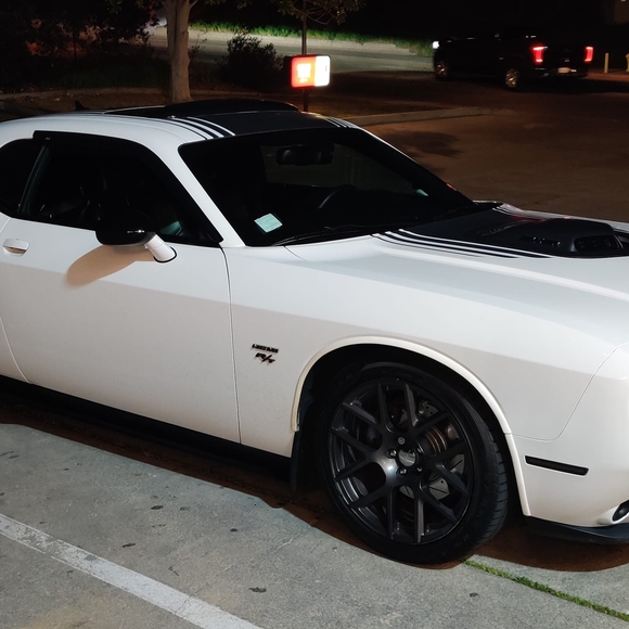 Meet your Posher, Shane - Picture 1 of 1